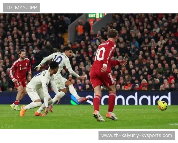 欧冠曼联巴塞尔直播：曼联对巴塞尔欧冠直播信息与预告